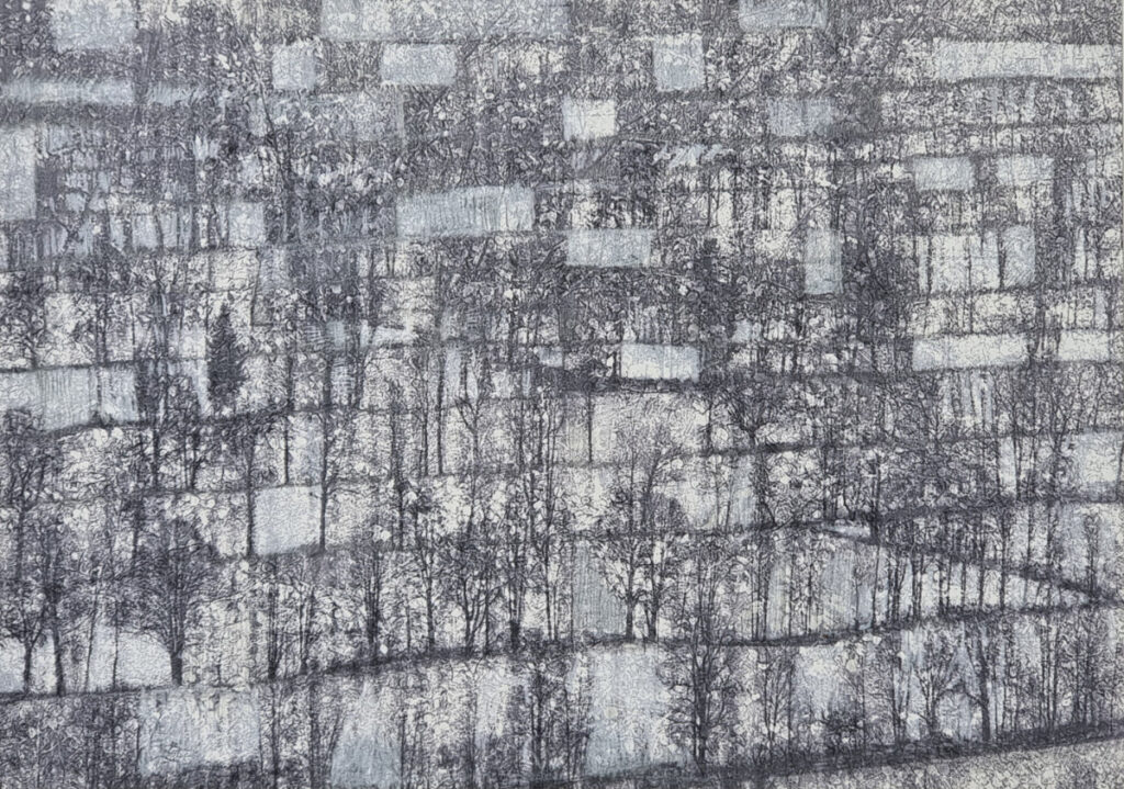 Tradn I / Handzeichnung / Fotografie / 2021 / 21 x 29,7 cm