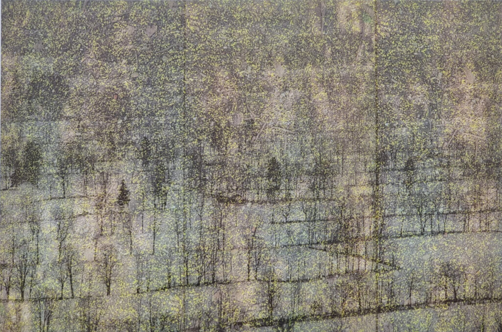 Verdichtung Tradn II / Fotodruck / 2023 /
30 x 40 cm