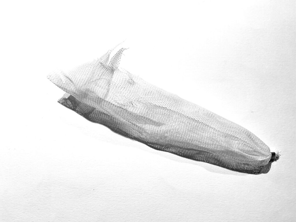 Netzwerk III / photographische Zeichnung / 2026 / 40 x 50 cm