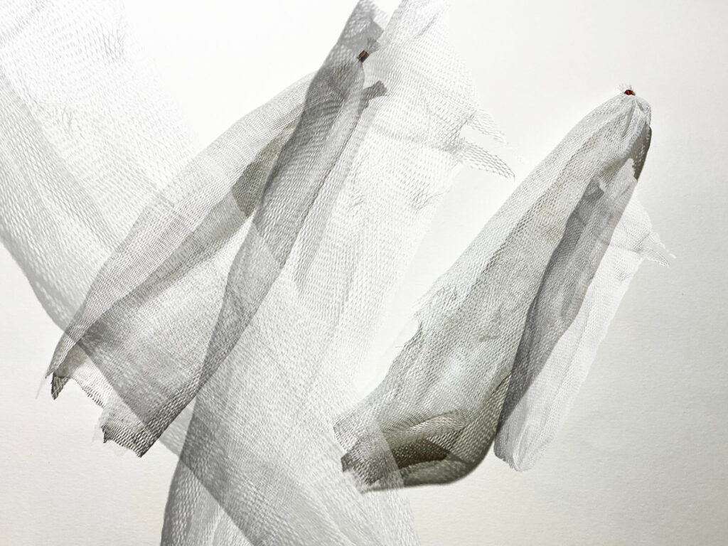 Netzwerk I / photographische Zeichnung / 2026 / 40 x 50 cm